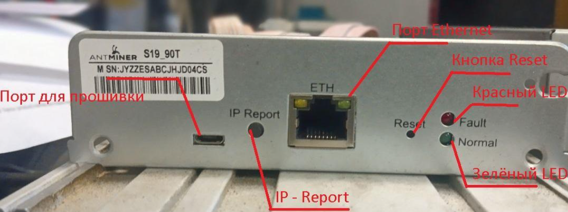 Antminer S19 control board: IP Report button, Ethernet port, Reset button, red Fault and green Normal LEDs labeled